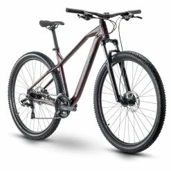 R-raymon R Raymon HardRay Nine 2.0 20 R-raymon R Raymon HardRay Nine 2.0 -Mountainbikes Hardtail Verkäufe R20Raymon hardray nine 2.0 mountain bike 2021 08