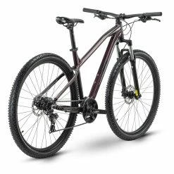 R-raymon R Raymon HardRay Nine 2.0 21 R-raymon R Raymon HardRay Nine 2.0 -Mountainbikes Hardtail Verkäufe R20Raymon hardray nine 2.0 mountain bike 2021 09