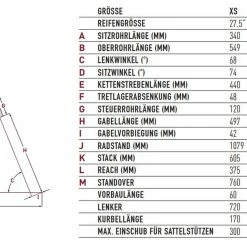 Focus Whistler 3.8 10 Focus Whistler 3.8 -Mountainbikes Hardtail Verkäufe focus whistler 3.8 mountain bike 2022 09