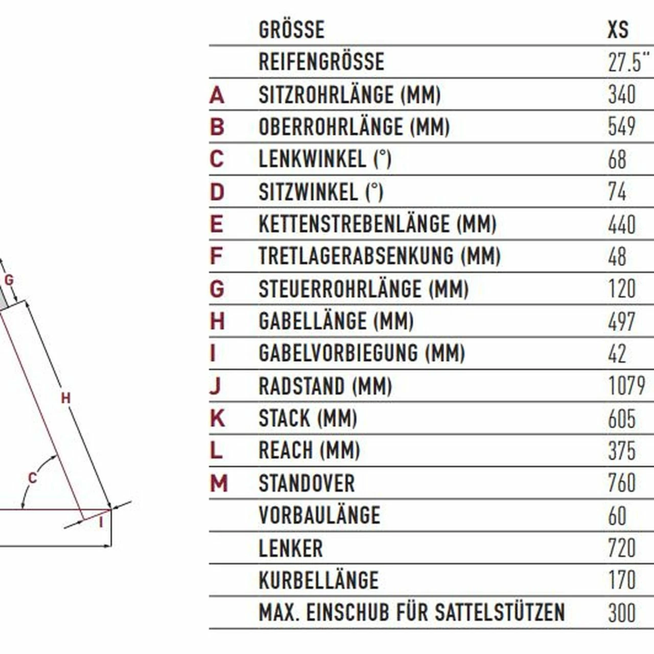 Focus Whistler 3.8 6 Focus Whistler 3.8 – Bild 4