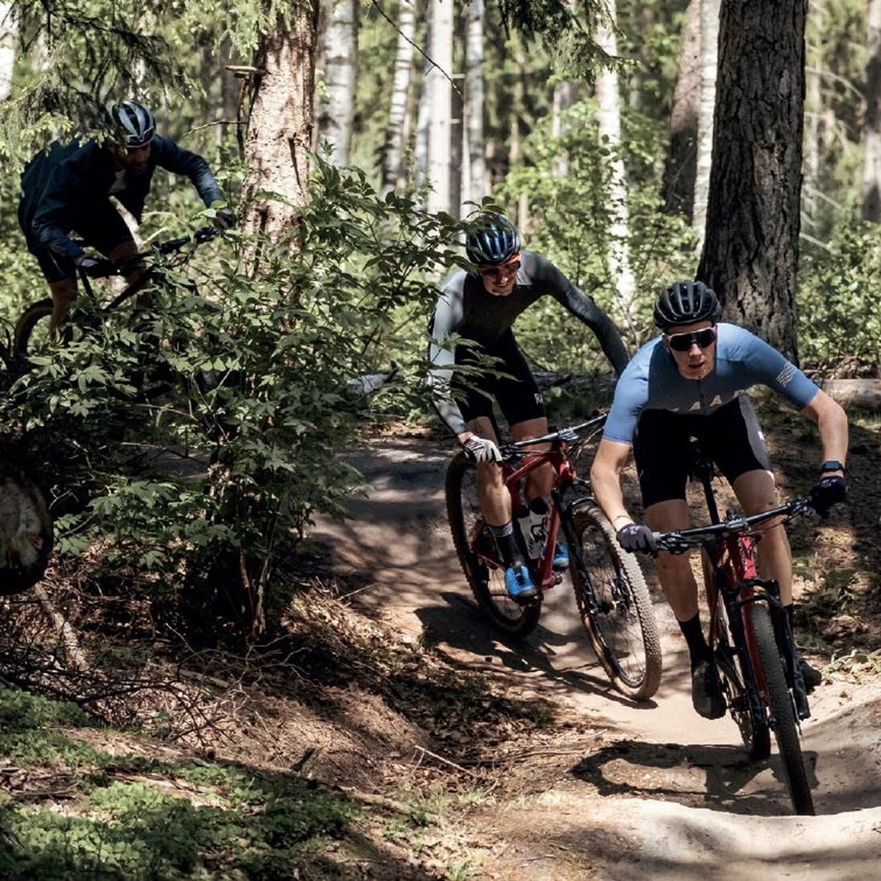 Focus Whistler 3.8 7 Focus Whistler 3.8 – Bild 5