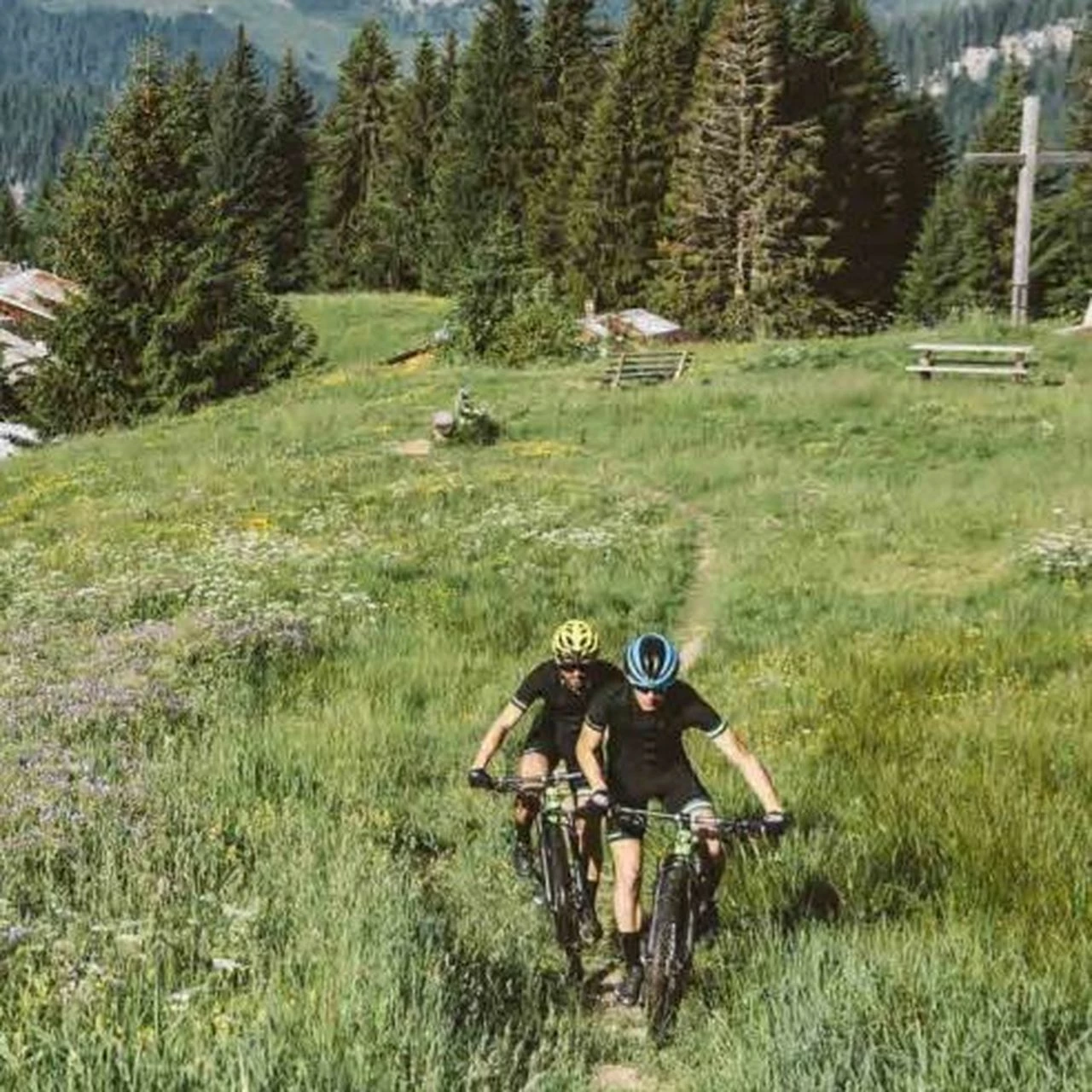 Lapierre Prorace CF 7.9 5 Lapierre Prorace CF 7.9 – Bild 3