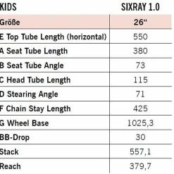 R-raymon R Raymon SixRay 1.0 17 R-raymon R Raymon SixRay 1.0 -Mountainbikes Hardtail Verkäufe rraymon sixray 1.0 kinder jugend fahrrad 2021 09