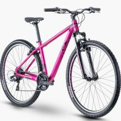 R-raymon R Raymon NineRay 1.0 -Mountainbikes Hardtail Verkäufe rraymonnineray1.029rmountainbike2021 8