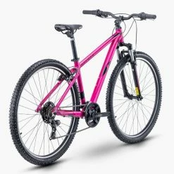 R-raymon R Raymon NineRay 1.0 -Mountainbikes Hardtail Verkäufe rraymonnineray1.029rmountainbike2021 9