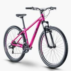 R-raymon R Raymon SevenRay 1.0 -Mountainbikes Hardtail Verkäufe rraymonsevenray1.027.5rmountainbike2021 8