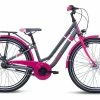 S'Cool (Coolmobilty) S'Cool ChiX Twin 24R 7S -Mountainbikes Hardtail Verkäufe scool chix twin 24 7s nexus kinder jugend mountain bike 2022 01