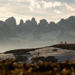 Specialized Epic Evo Comp Carbon -Mountainbikes Hardtail Verkäufe specializedepicevocompcarbon29rfullsuspensionmoutainbike2022 6