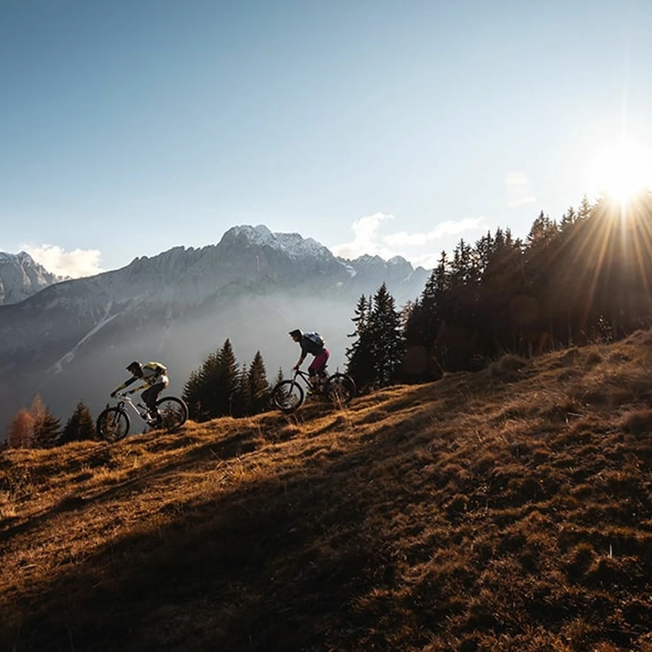 Specialized Epic Expert Carbon 8 Specialized Epic Expert Carbon – Bild 6