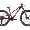 Specialized Riprock Expert