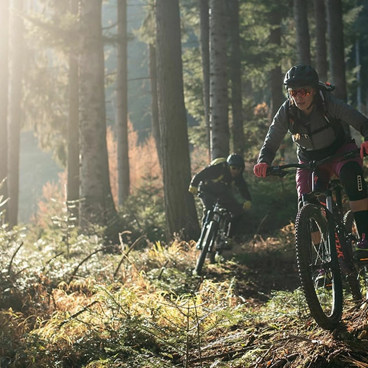 Specialized Rockhopper Elite 7 Specialized Rockhopper Elite – Bild 5