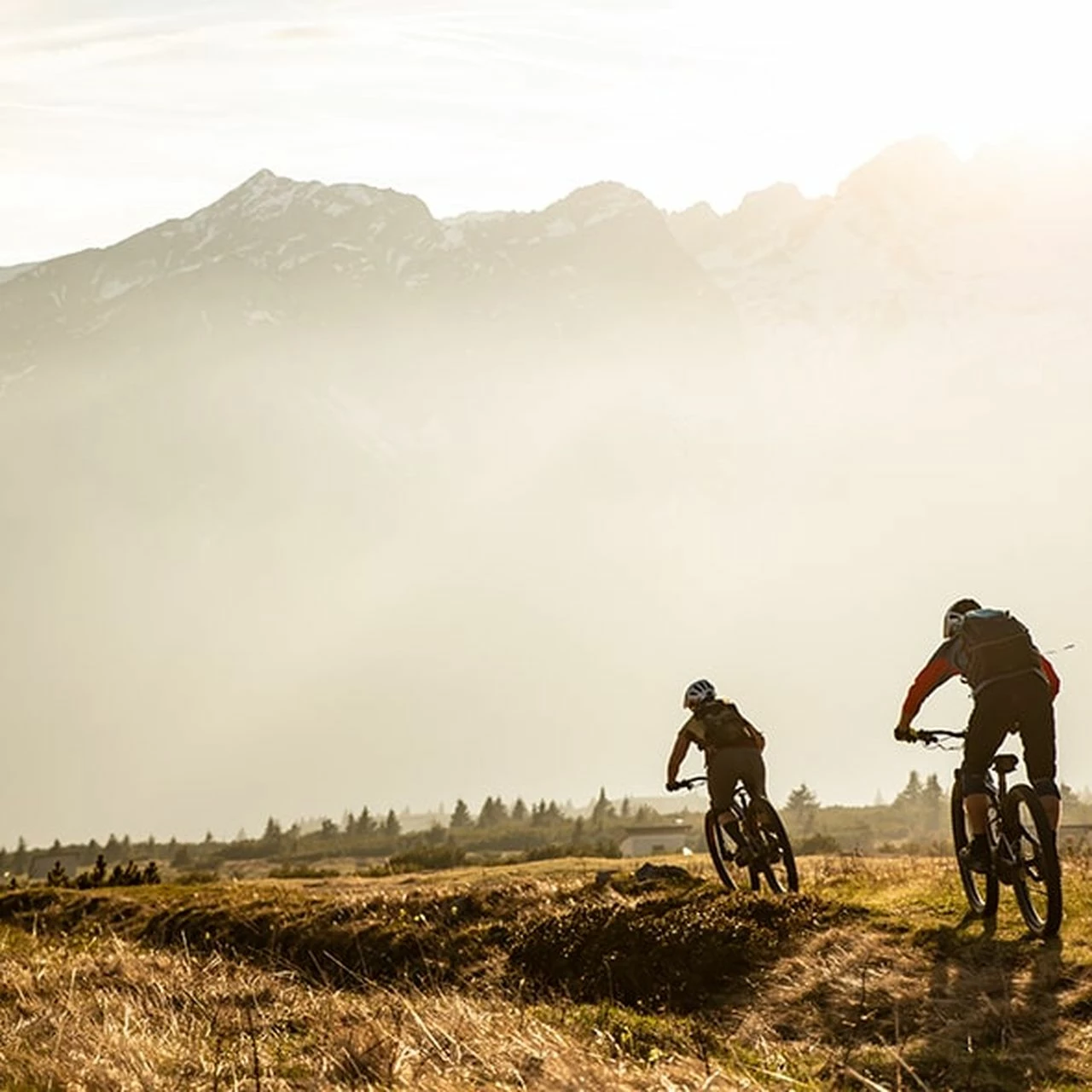 Specialized Rockhopper Expert 9 Specialized Rockhopper Expert – Bild 7