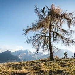 Specialized Rockhopper Expert 15 Specialized Rockhopper Expert -Mountainbikes Hardtail Verkäufe specializedrockhopperexpert29rmountainbike2022 7