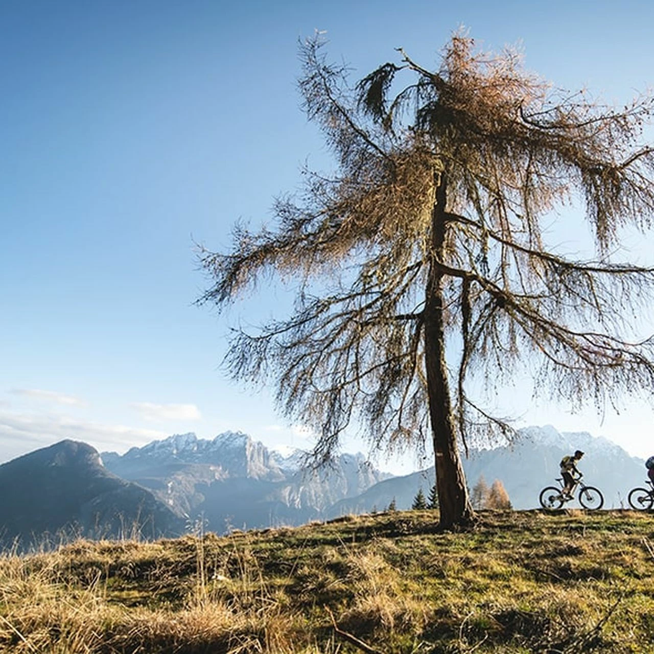 Specialized Rockhopper Expert 9 Specialized Rockhopper Expert – Bild 7