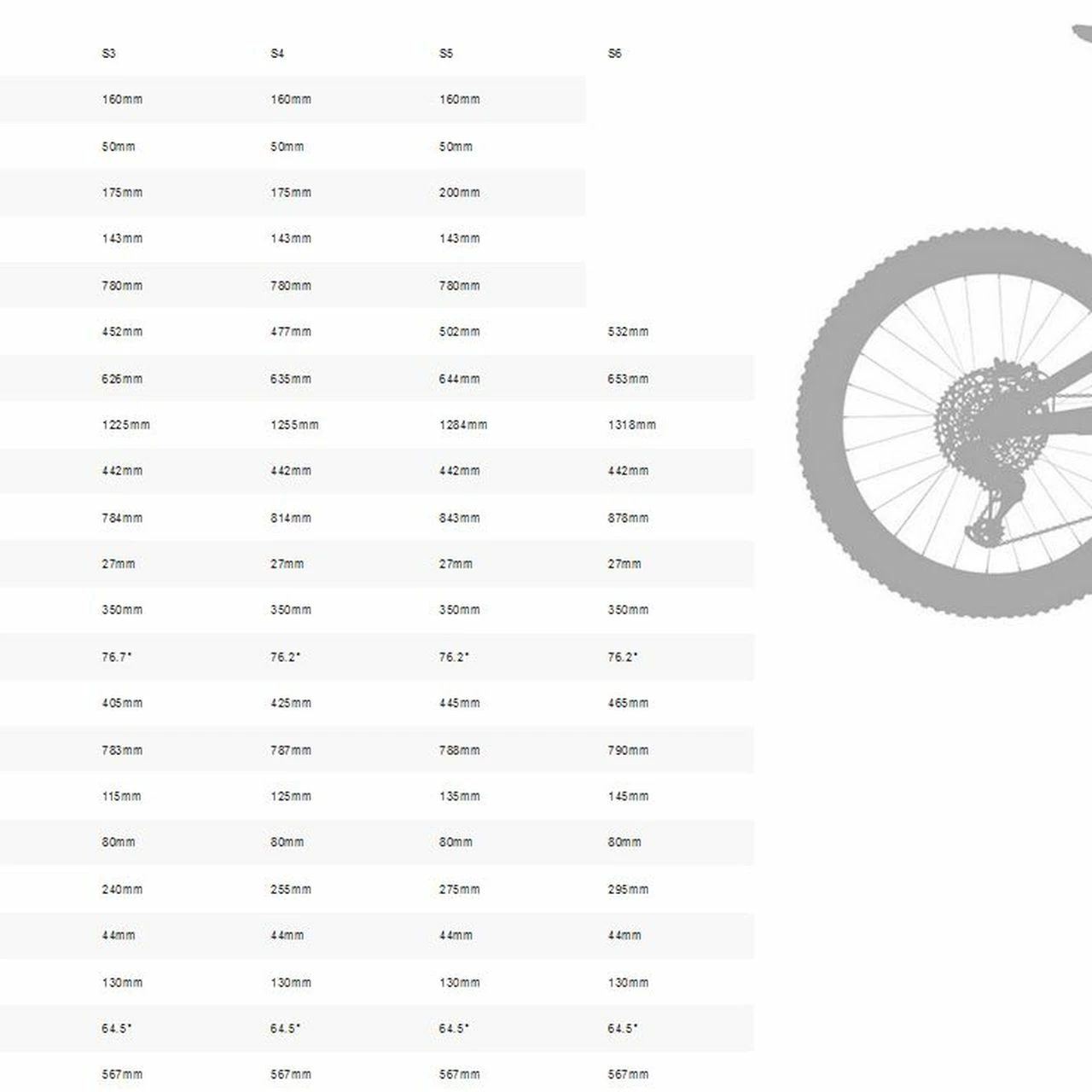 Specialized Stumpjumper Comp Carbon 7 Specialized Stumpjumper Comp Carbon – Bild 5